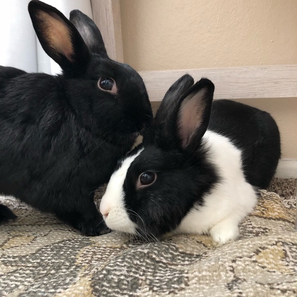 • welcome • - Picture 3 of 5